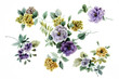 Color illustration of flowers in watercolor paintings