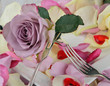 Romantic place setting with silverware and roses for lovers