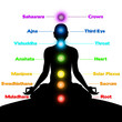 Chakras