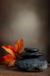 Spa stone