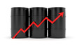 The increase in prices of energy carriers