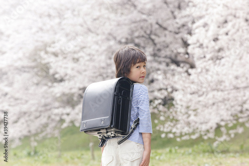 Photo: 桜の下で振り返り微笑む小学生男子 桜の下で振り返り微笑む小学生男子