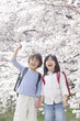 桜の下で手を繋ぎ微笑む小学生男女