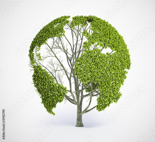 Illustration: Earth map tree Earth map tree