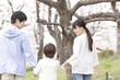 桜並木を散歩する家族の後姿