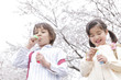 桜の下でシャボン玉を吹く男の子と女の子