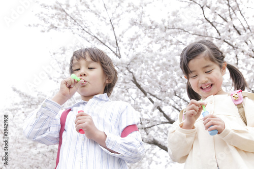 Photo: 桜の下でシャボン玉を吹く男の子と女の子 桜の下でシャボン玉を吹く男の子と女の子