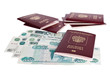 Passports of Russian Federation