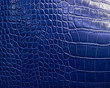 crocodile skin texture