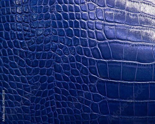 Photo: crocodile skin texture crocodile skin texture