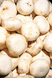 heap of a mushrooms heap of a mushrooms