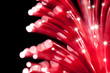 fiber optics close-up