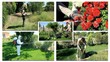 multitaches....jardin