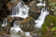 Pure river