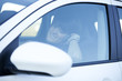 Woman driving holding a cellphone