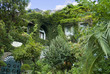 Stunning tropical Garden on Volcanic Isle of Ischia Italy