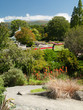 Jardin botanique de Dunedin