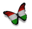 Hungarian flag butterfly, isolated on white Hungarian flag butterfly, isolated on white