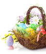 easter eggs in basket with spring flowers