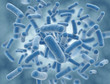 Blue virus cells science illustration
