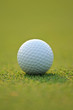 Golf ball on green grass