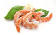 Foto: hot-water shrimps hot-water shrimps