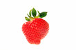 strawberry strawberry
