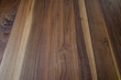 American Black Walnut