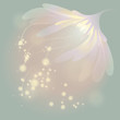 Soft fairy flower at spring sunrise