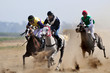 Horse racing (competition), Kfar Kana, Israel