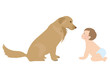 犬と赤ちゃん