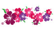 Hibiskus - Blüten