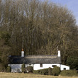 countryside