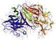 Enzyme pepsin 3D model