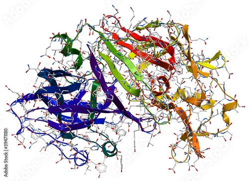 Illustration: Enzyme pepsin 3D model Enzyme pepsin 3D model