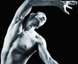 male muscular body