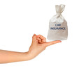 Bag with car insurance