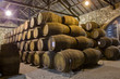 wine cellar with oak barrels