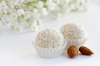 White sweet coconut truffles