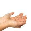 Female hands on white