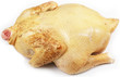 Raw chicken on white background Raw chicken on white background
