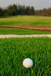 Photo: Golf ball on green grass Golf ball on green grass