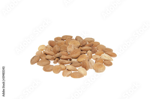 Photo: Apricot seeds Apricot seeds