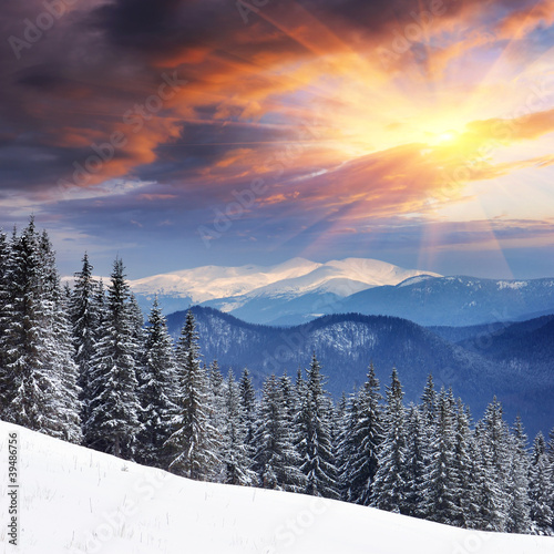 Photo: Winter landscape Winter landscape