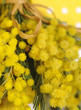 Photo: 8 march women's day 8 march women's day