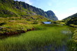 Mountain lake covered Horsetail