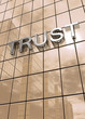 Spiegelfassade Braun - Trust Konzept