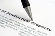 Intellectual property form