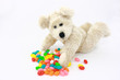 White Teddy Bear With Colorful Candies