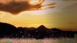 Timelapse and sunset